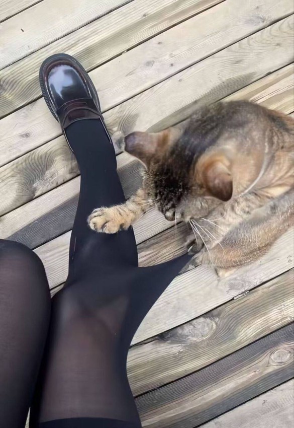 Картиночки на 15.01.2026