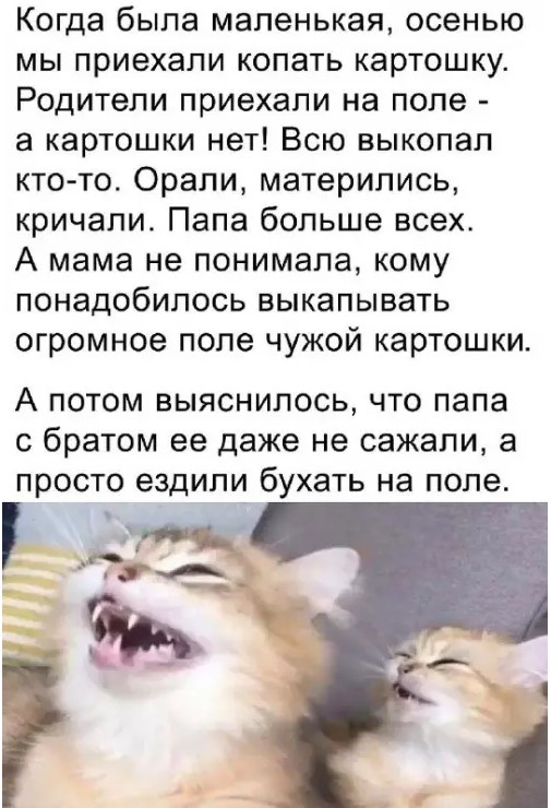 Картиночки, баянчики 15 марта