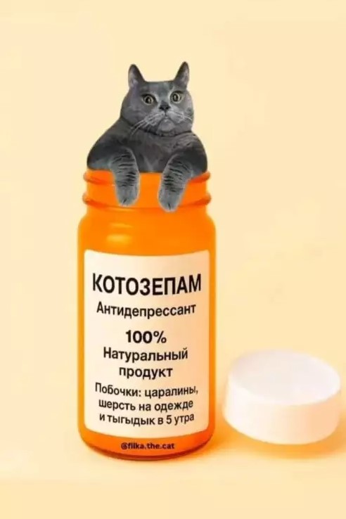 Котямбосы