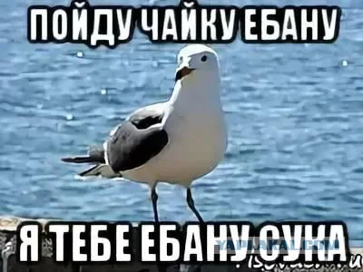 ну и  когда же