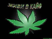 Странный объект на снимке НАСА