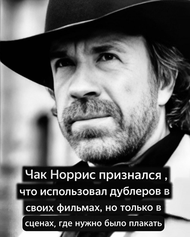 Картинки для деградации 258 ( разной степени свежести)