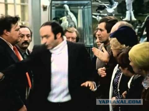 В каждой семье так?