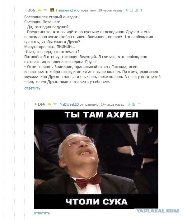 Приколы и маразмы 2