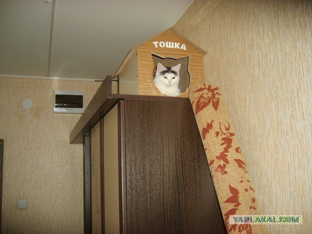 Домик для котэ