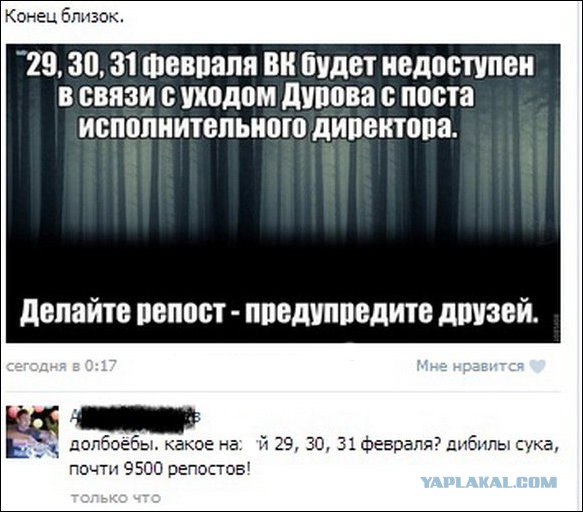 Смешные комментарии из социальных сетей