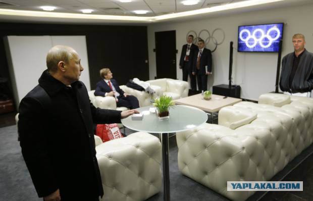 Когда Путин не смотрит