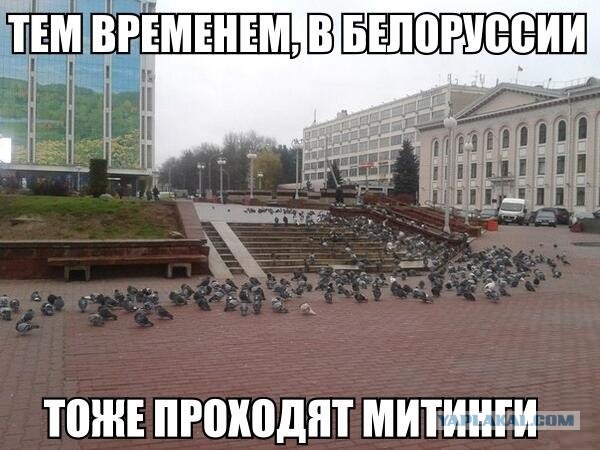 Очередная подборка смешных высказываний
