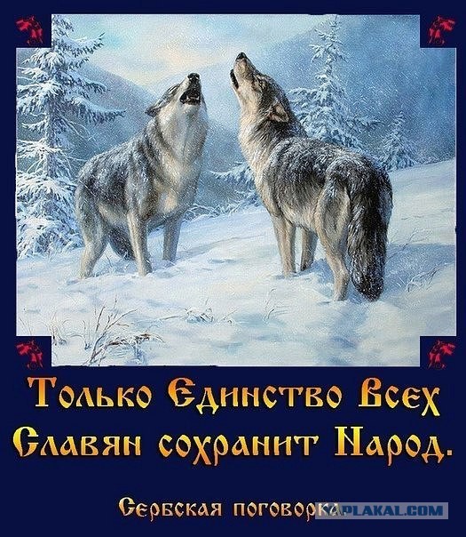 Вопросы к славянами и не только к ним