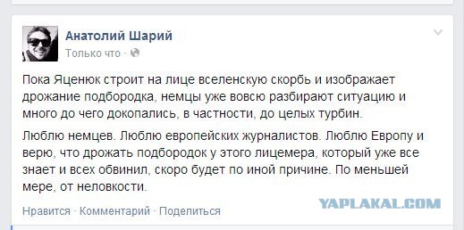 На Украине рухнул Боинг-777 малайзийских авиалиний