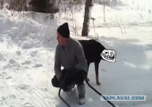 Пёс