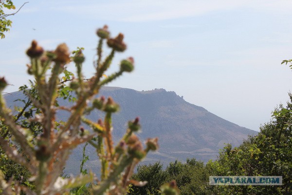 Дорога из Киева и из Москвы в Ялту.