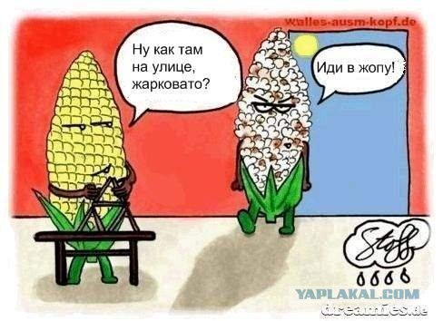 Сон в летнюю ночь