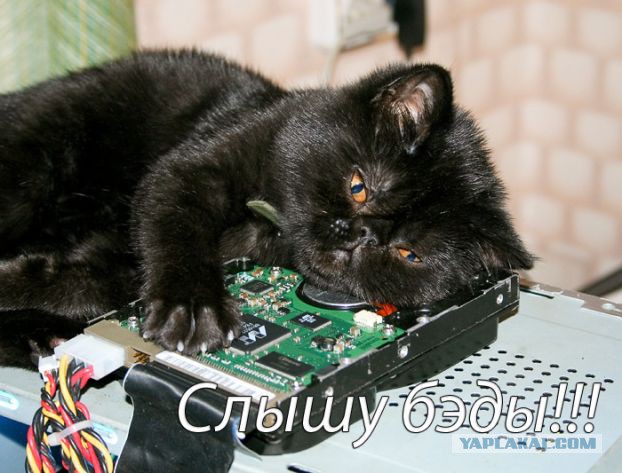 Немного смешных картинок из сети