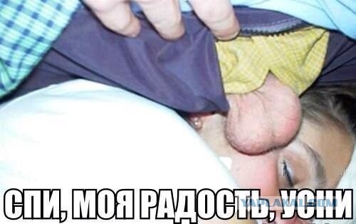 Свежие картинки из сети