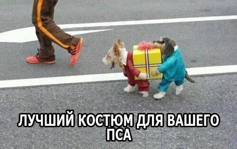 Картинки разные