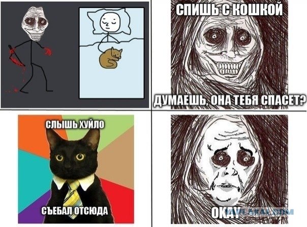 Нельзя недооценивать котейку