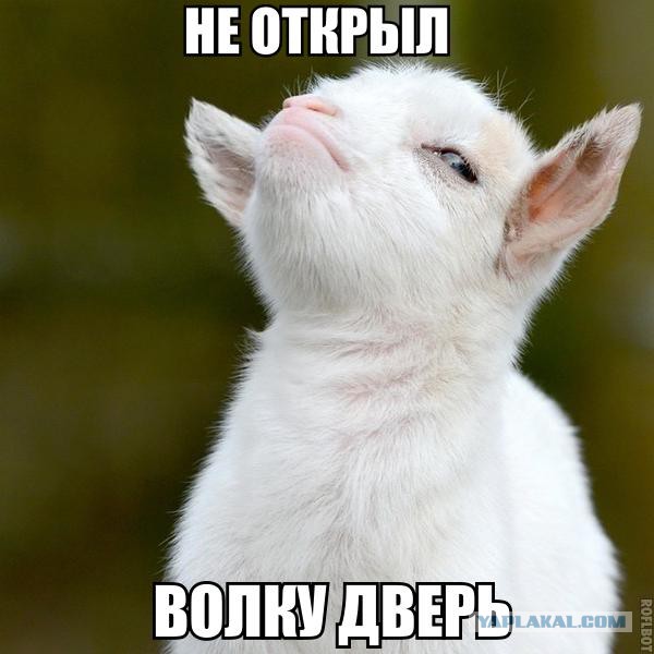 Придет серенький волчок
