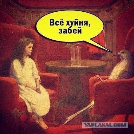 Прикольные фото и картинки