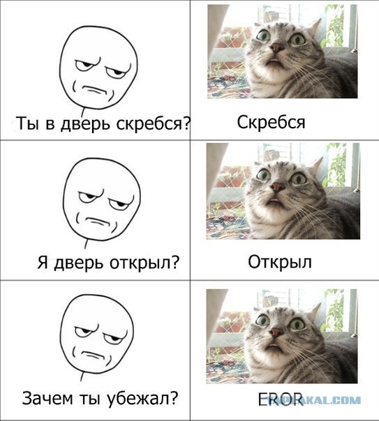 Котокомиксы