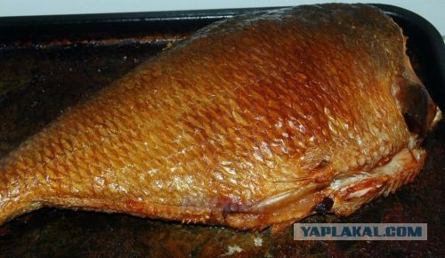 С неба упал двухкилограммовый лещ