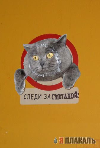 фотожаба: неправильный знак