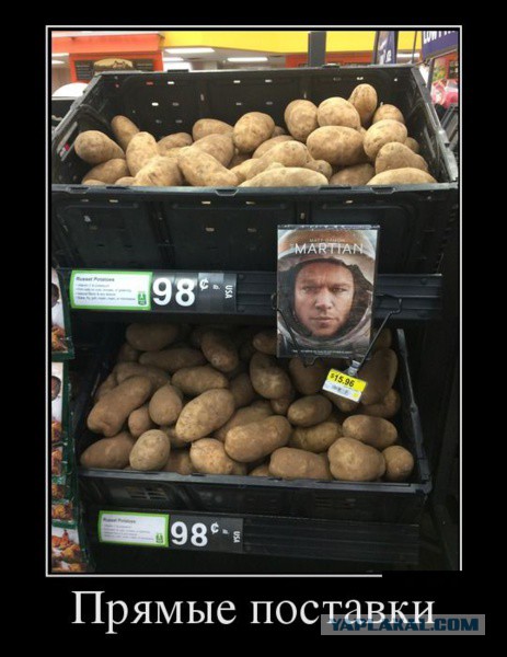 Картинки из интернетов