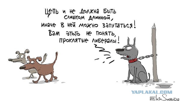 Немного политических карикатур