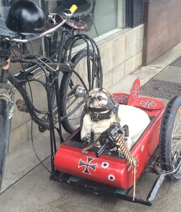 Подборка интересных и веселых картинок