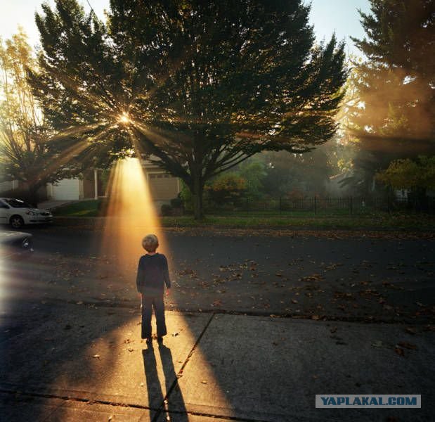 Интересные и веселые картинки