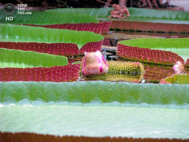 Интересные и веселые картинки