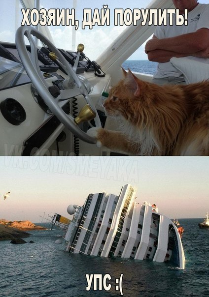 Подборка картинок