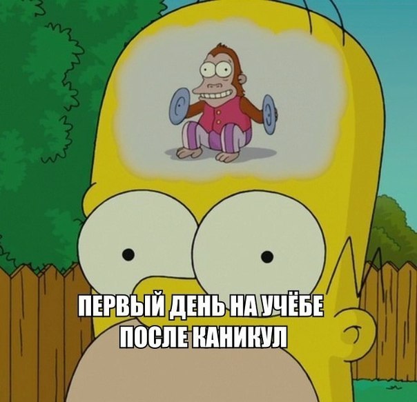 Подборка картинок