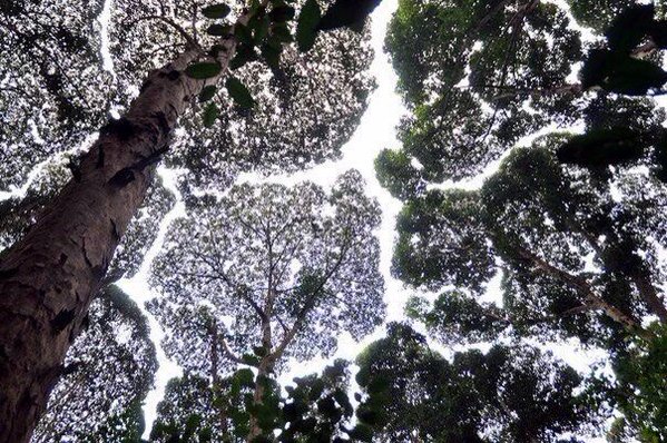 Интересные и веселые картинки