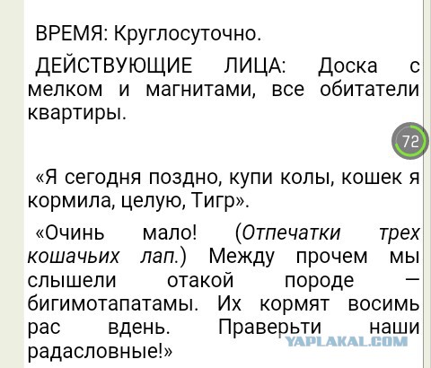 В основном про *овно