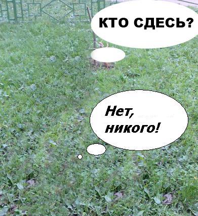 Фотожаба: да здесь где-то недалеко!