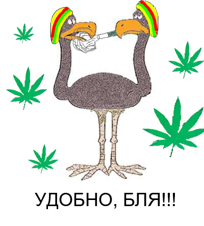 Фотожаба: Жизненный вопрос
