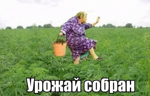 Смотри приколы и тупей