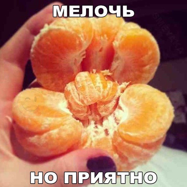 Весёлые картинки 07.12.16