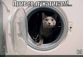 Способности гениев.