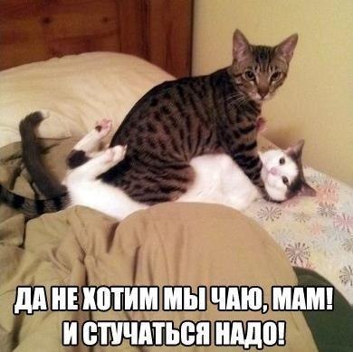 Смешные картинки