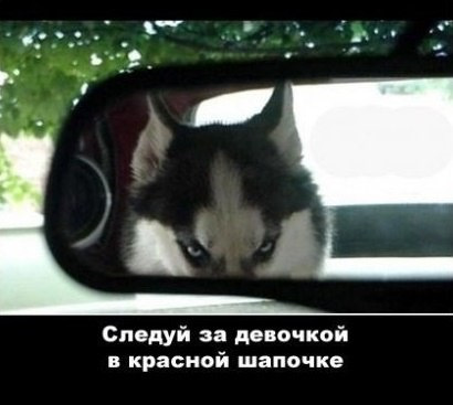 Картинки ИЗ сети