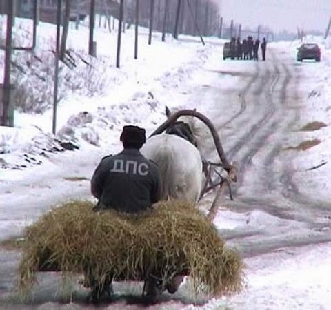 Подборка безудержного веселья