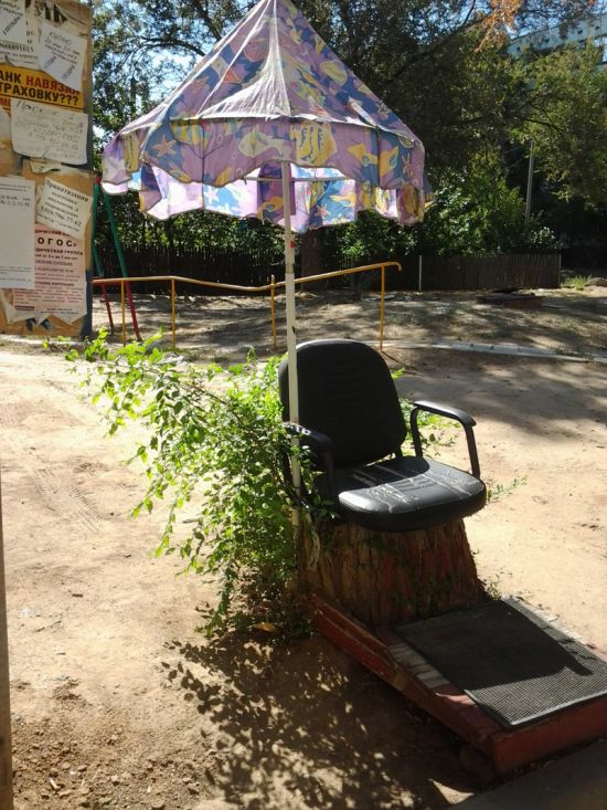 Подборка безудержного веселья