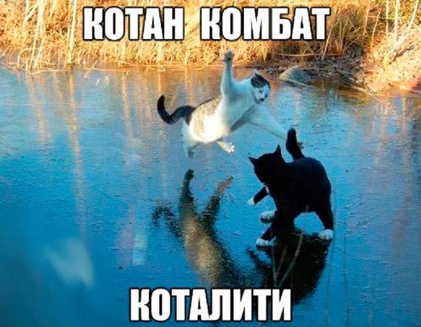 Картинки для поднятия настроения