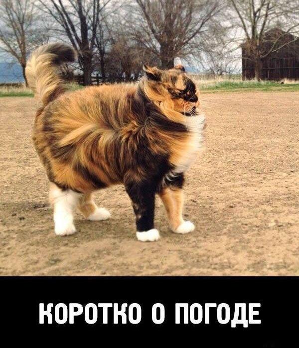 Просто юмор 18