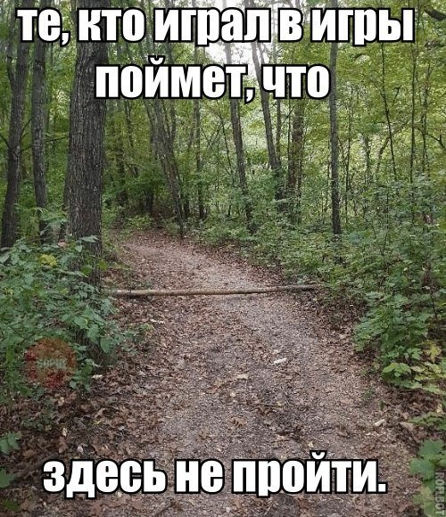 Просто картинки