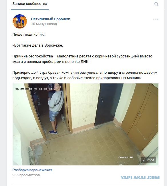 Малолетние дебилы, яга и пистолеты. Воронеж, 29-30.06.2018