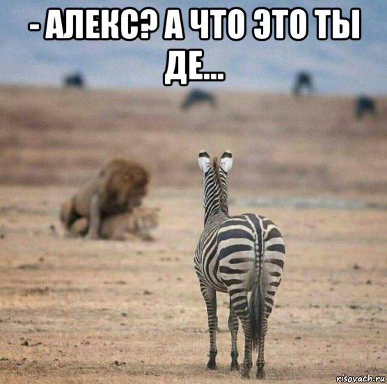 Подборка интересных и веселых картинок 27.01.19