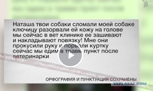 В Подмосковье доберманы покусали женщину и едва не загрызли маленького терьера